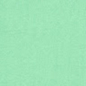 Meet your Posher, Shaina